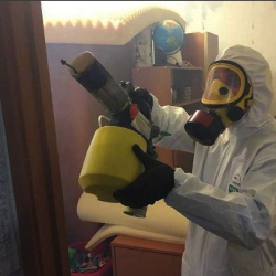 Уничтожение клопов в квартире. Нижняя Салда